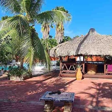 Woodstock Palmresort Curacao Willemstad Zewnętrze zdjęcie