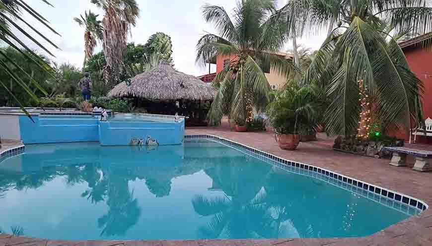 Woodstock Palmresort Curacao Willemstad Zewnętrze zdjęcie
