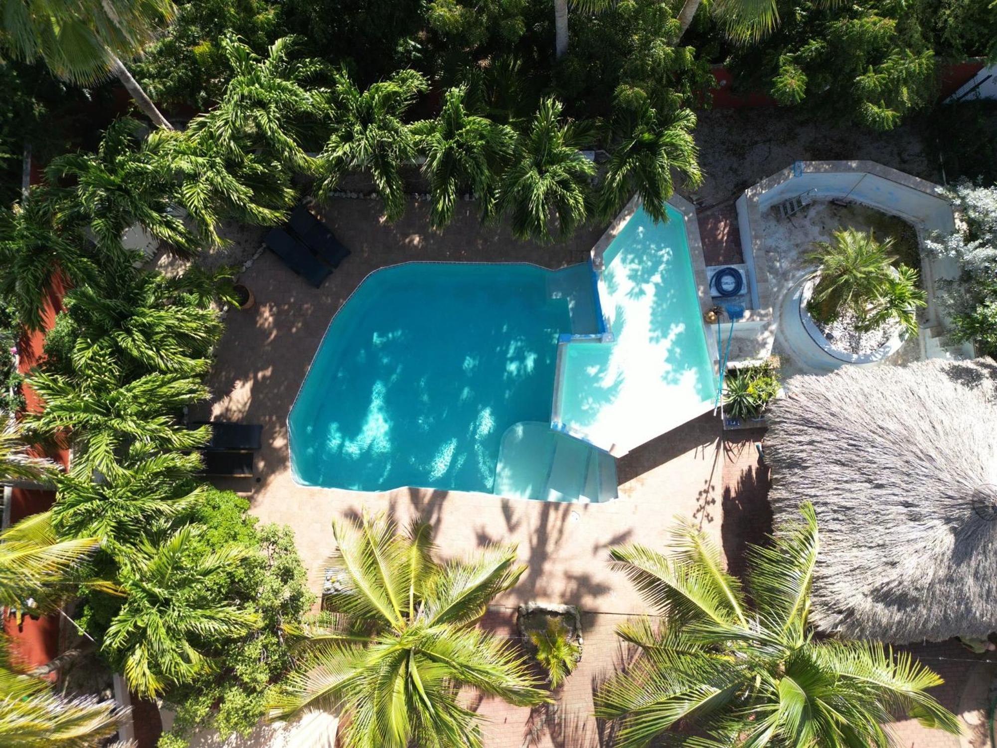 Woodstock Palmresort Curacao Willemstad Zewnętrze zdjęcie