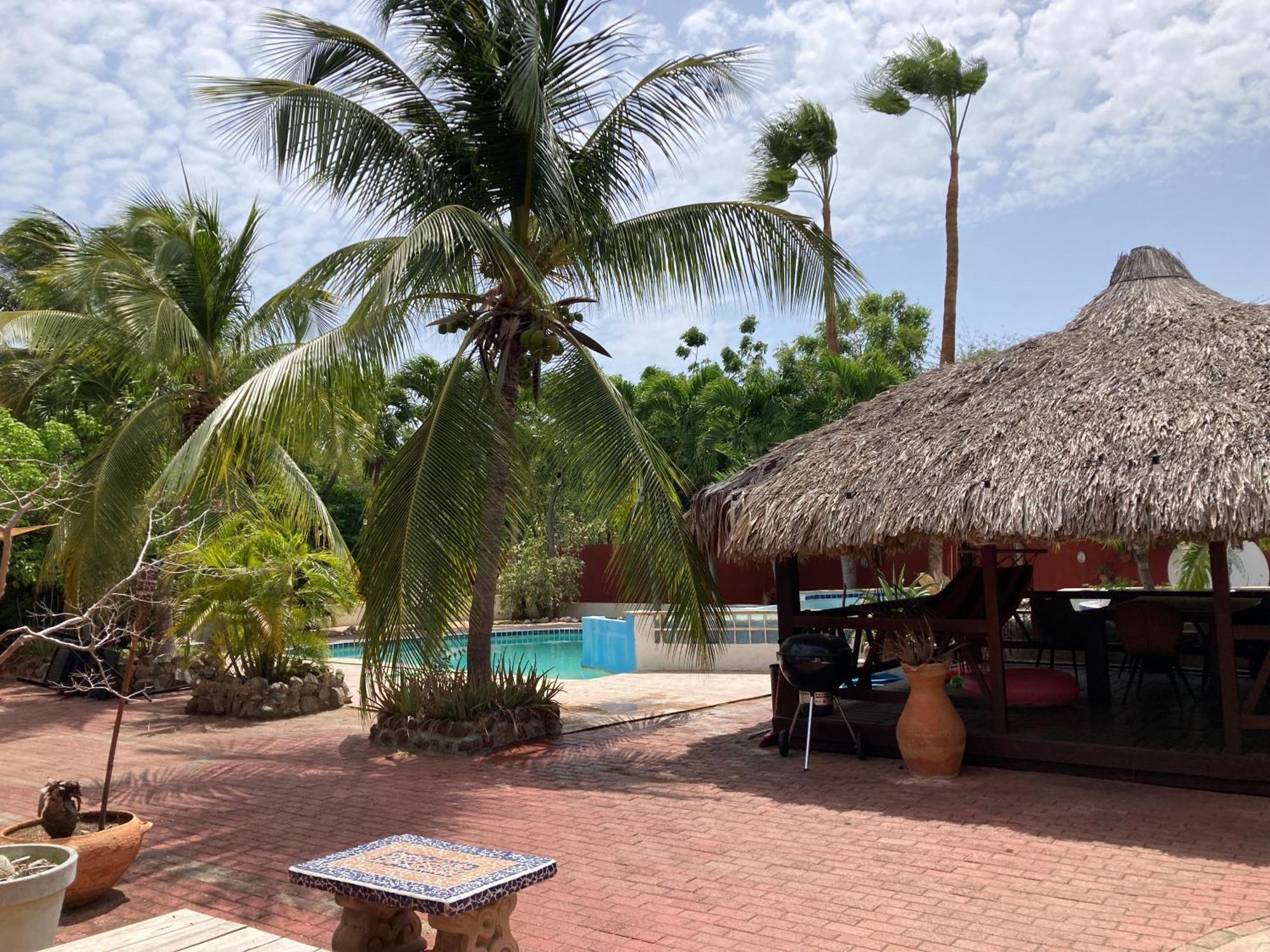 Woodstock Palmresort Curacao Willemstad Zewnętrze zdjęcie